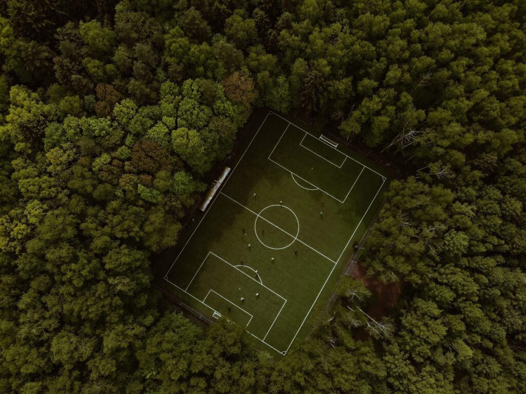 boisko piłkarski położone wśród drzew